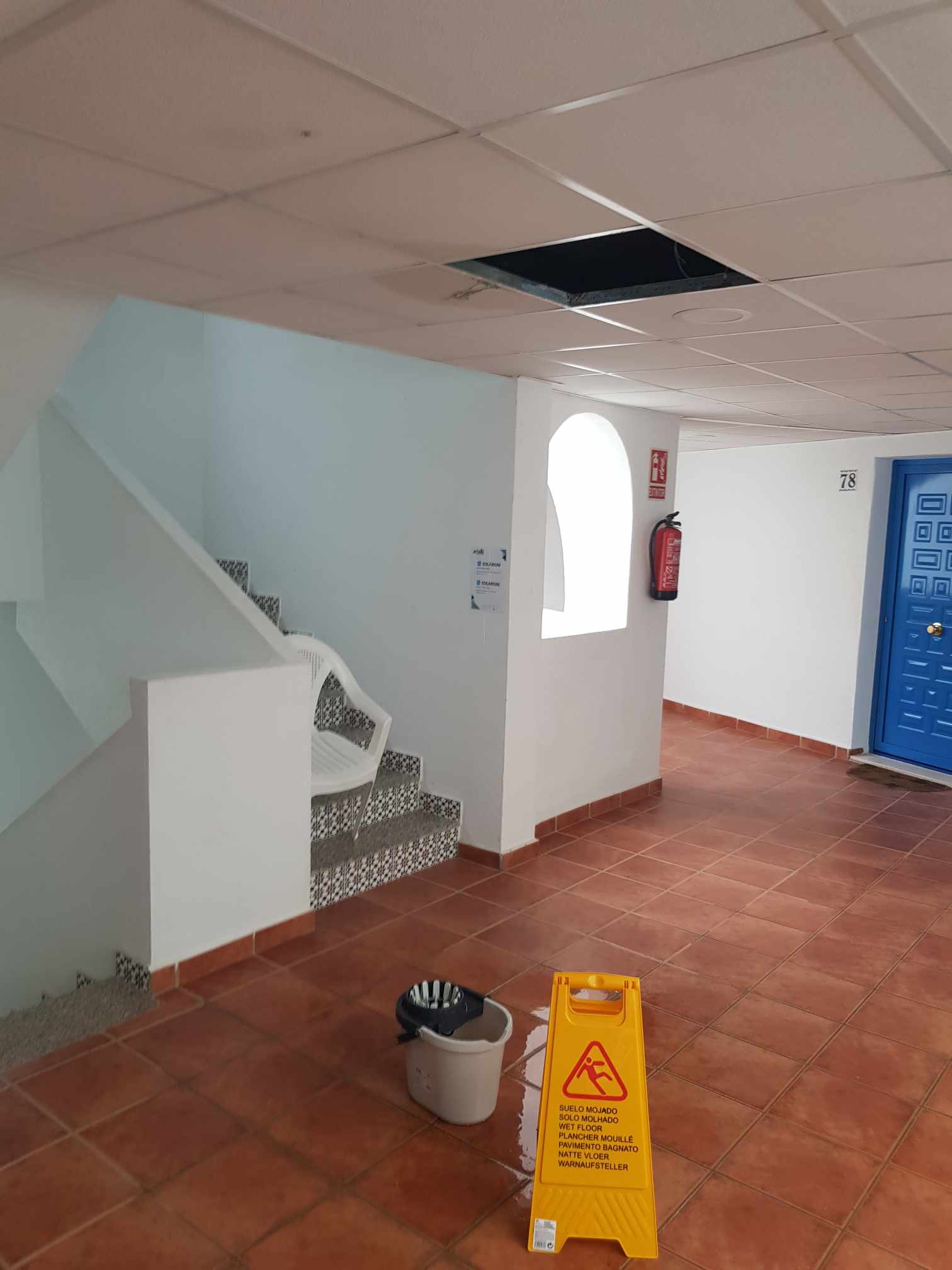 Le même jour au 4e sous la descente des eaux pluviales